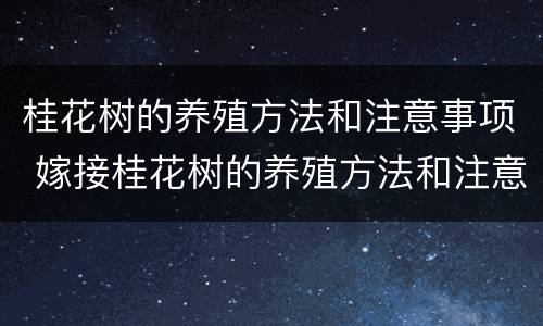 桂花树的养殖方法和注意事项 嫁接桂花树的养殖方法和注意事项