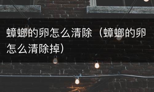 蟑螂的卵怎么清除（蟑螂的卵怎么清除掉）