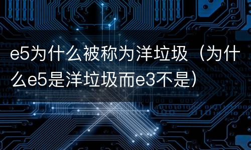 e5为什么被称为洋垃圾（为什么e5是洋垃圾而e3不是）