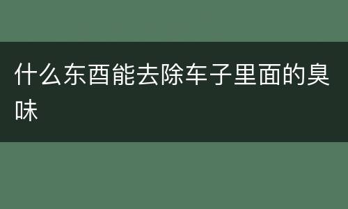 什么东酉能去除车子里面的臭味