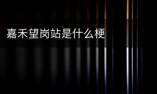 嘉禾望岗站是什么梗