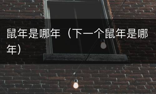 鼠年是哪年（下一个鼠年是哪年）