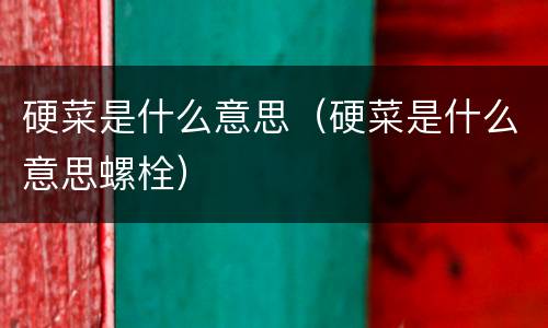 硬菜是什么意思（硬菜是什么意思螺栓）