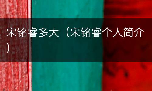 宋铭睿多大（宋铭睿个人简介）