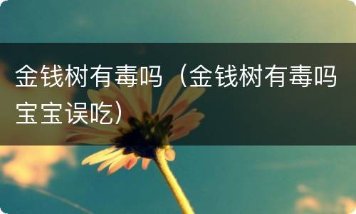 金钱树有毒吗（金钱树有毒吗宝宝误吃）