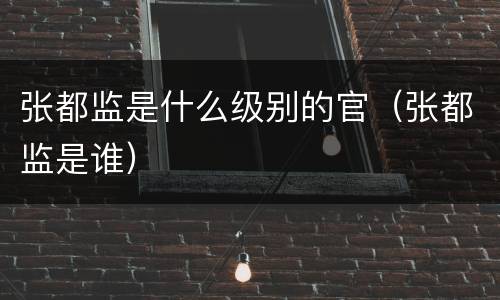 张都监是什么级别的官（张都监是谁）