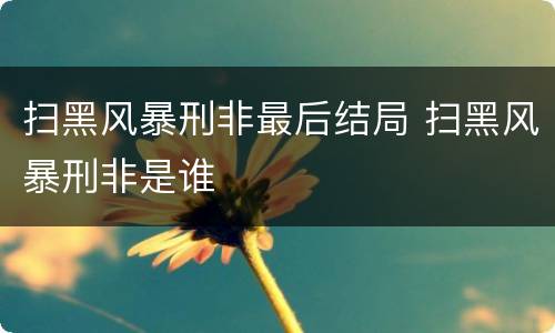 扫黑风暴刑非最后结局 扫黑风暴刑非是谁