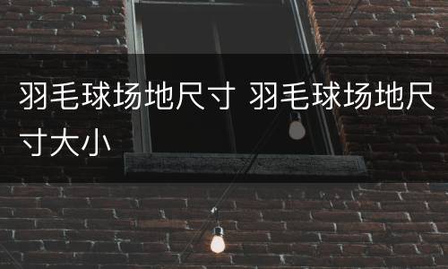 羽毛球场地尺寸 羽毛球场地尺寸大小