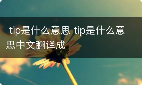  tip是什么意思 tip是什么意思中文翻译成