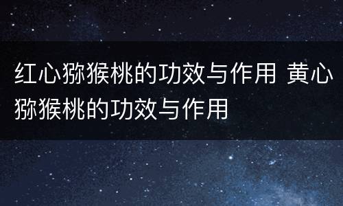 红心猕猴桃的功效与作用 黄心猕猴桃的功效与作用