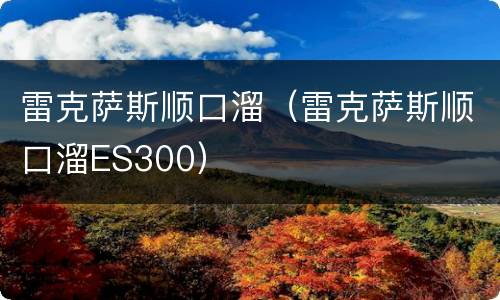 雷克萨斯顺口溜（雷克萨斯顺口溜ES300）