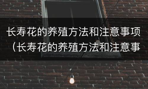 长寿花的养殖方法和注意事项（长寿花的养殖方法和注意事项视频）