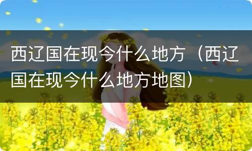 西辽国在现今什么地方（西辽国在现今什么地方地图）