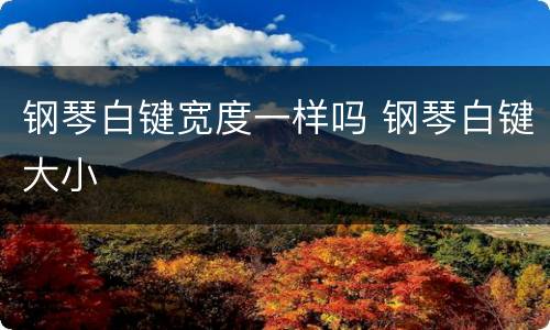 钢琴白键宽度一样吗 钢琴白键大小