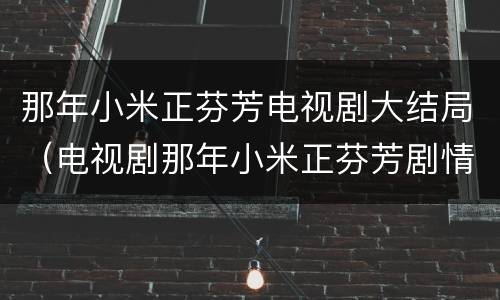 那年小米正芬芳电视剧大结局（电视剧那年小米正芬芳剧情介绍）