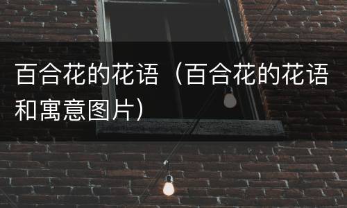 百合花的花语（百合花的花语和寓意图片）