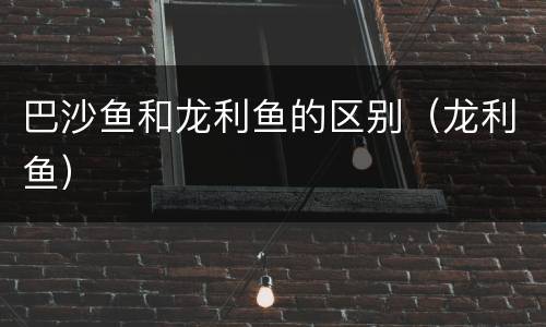 巴沙鱼和龙利鱼的区别（龙利鱼）