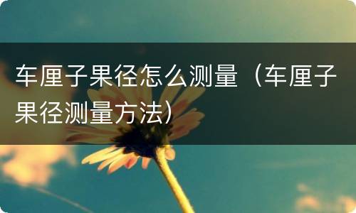 车厘子果径怎么测量（车厘子果径测量方法）