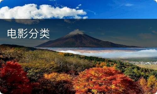 电影分类