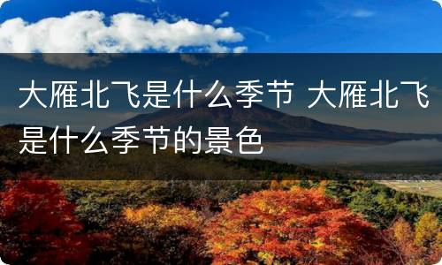 大雁北飞是什么季节 大雁北飞是什么季节的景色