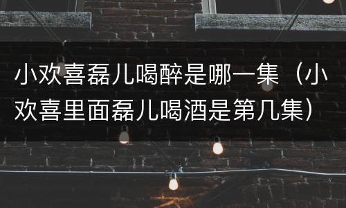 小欢喜磊儿喝醉是哪一集（小欢喜里面磊儿喝酒是第几集）