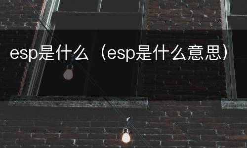 esp是什么（esp是什么意思）