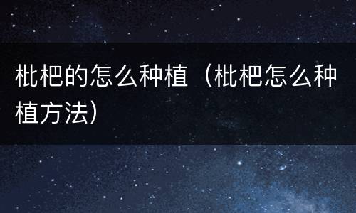 枇杷的怎么种植（枇杷怎么种植方法）