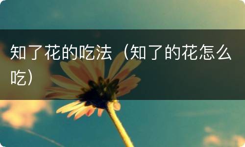 知了花的吃法（知了的花怎么吃）