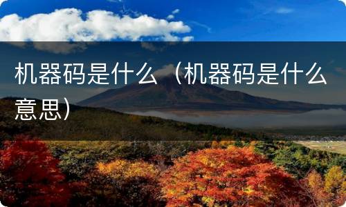 机器码是什么（机器码是什么意思）