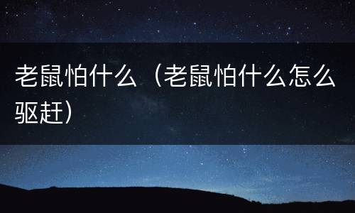 老鼠怕什么（老鼠怕什么怎么驱赶）