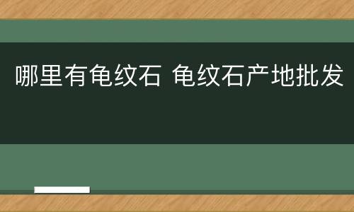 哪里有龟纹石 龟纹石产地批发