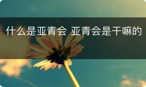 什么是亚青会 亚青会是干嘛的