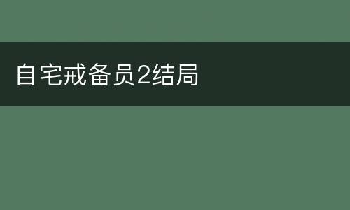 自宅戒备员2结局