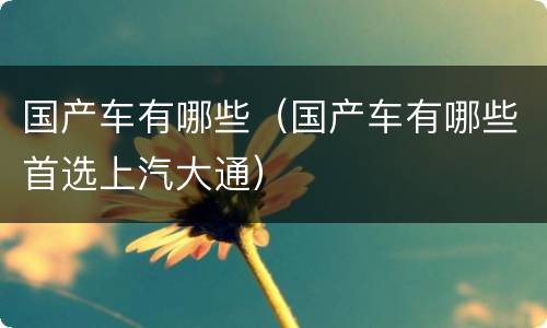 国产车有哪些（国产车有哪些首选上汽大通）