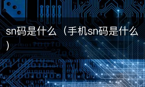 sn码是什么（手机sn码是什么）
