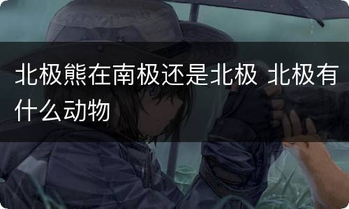 北极熊在南极还是北极 北极有什么动物
