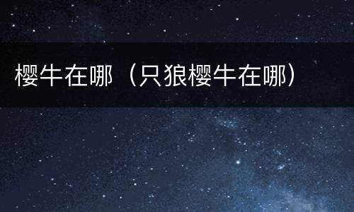 樱牛在哪（只狼樱牛在哪）