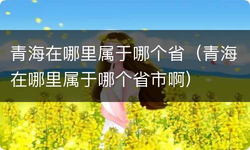 青海在哪里属于哪个省（青海在哪里属于哪个省市啊）