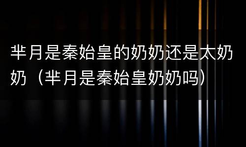 芈月是秦始皇的奶奶还是太奶奶（芈月是秦始皇奶奶吗）