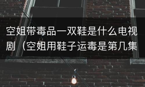 空姐带毒品一双鞋是什么电视剧（空姐用鞋子运毒是第几集）