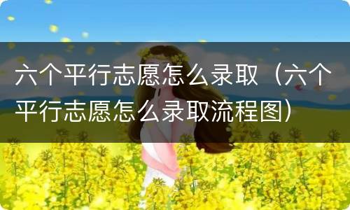 六个平行志愿怎么录取（六个平行志愿怎么录取流程图）