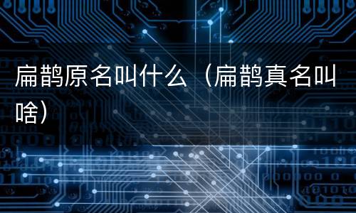 扁鹊原名叫什么（扁鹊真名叫啥）