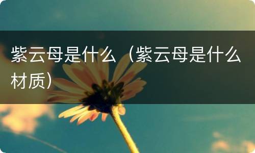 紫云母是什么（紫云母是什么材质）