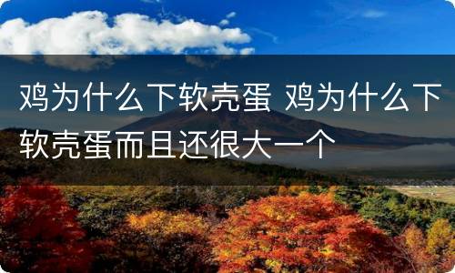 鸡为什么下软壳蛋 鸡为什么下软壳蛋而且还很大一个