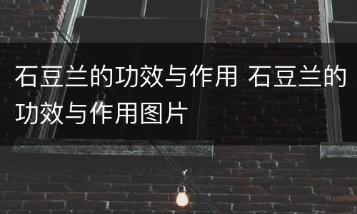 石豆兰的功效与作用 石豆兰的功效与作用图片
