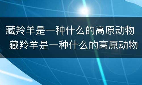 藏羚羊是一种什么的高原动物 藏羚羊是一种什么的高原动物呢