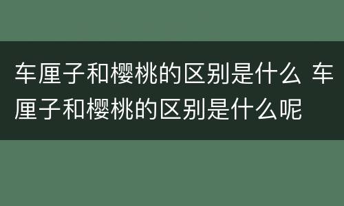 车厘子和樱桃的区别是什么 车厘子和樱桃的区别是什么呢