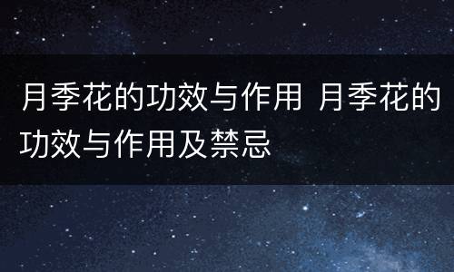 月季花的功效与作用 月季花的功效与作用及禁忌