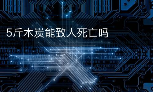 5斤木炭能致人死亡吗