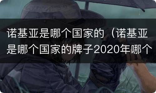 诺基亚是哪个国家的（诺基亚是哪个国家的牌子2020年哪个好用）